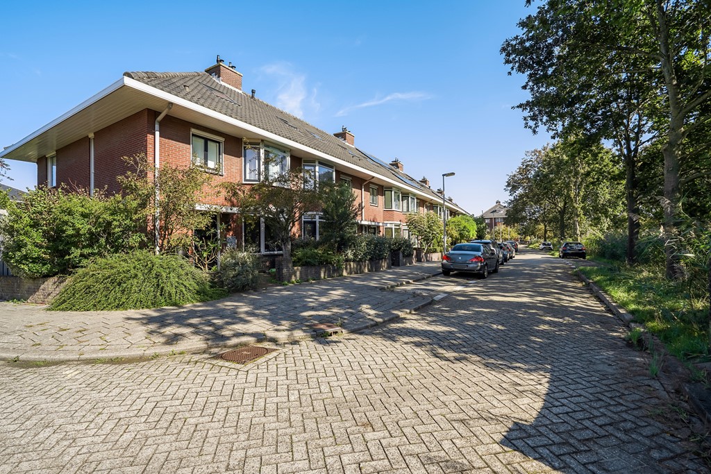 Zandzeggelaan 199_104.jpg